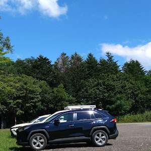 RAV4 AXAH54