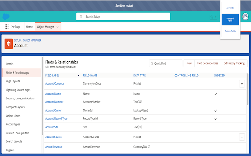 Salesforce Lightning Setup Field Type Toggle