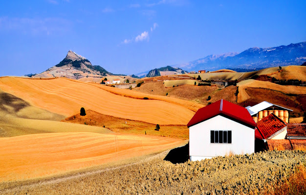 Agosto brucia... di francesco_abate