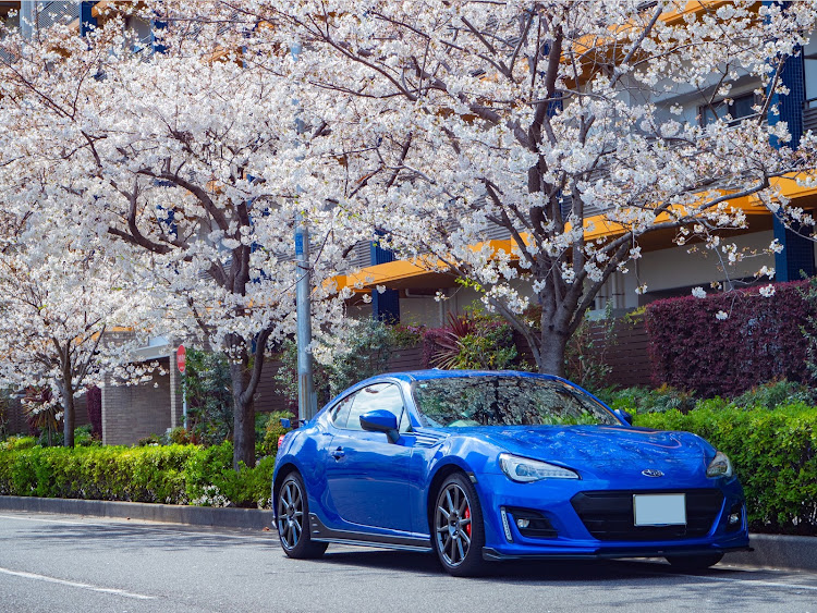 BRZの桜コラボ・六連星に関するカスタム事例の投稿画像1枚目