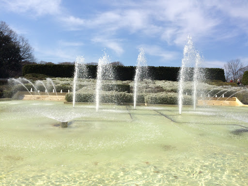 森林公園 中央噴水