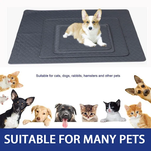 images slider number - 5