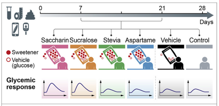 Non-nutritive sweeteners affect human microbiomes and can alter glycemic responses