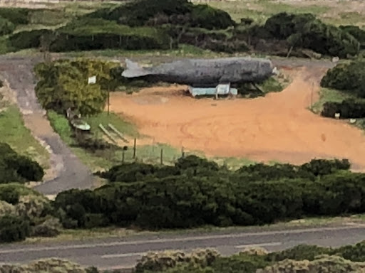 Cape Point South Africa 2018