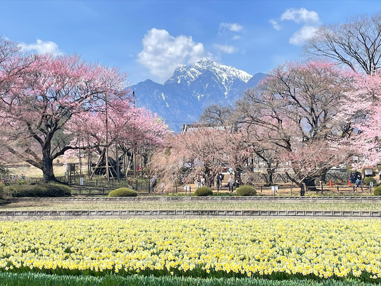 の投稿画像2枚目