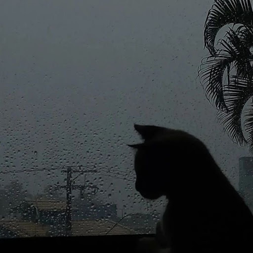 煙💨