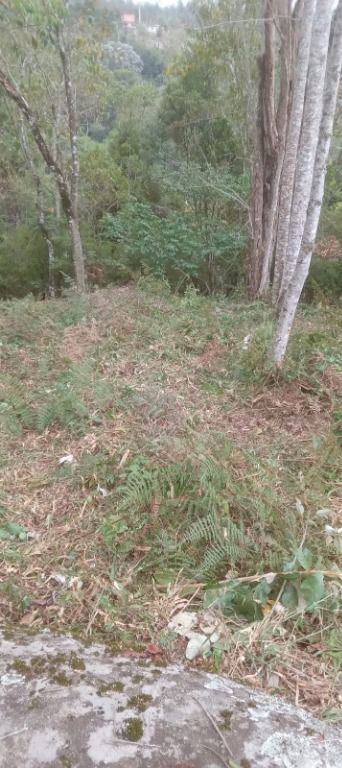 Terreno Residencial à venda em Parque do Imbui, Teresópolis - RJ - Foto 3