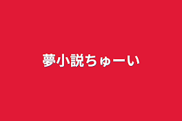 夢小説ちゅーい