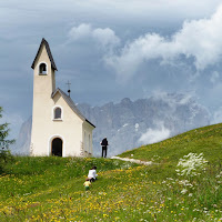 Tra i fiori di 