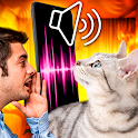 Cat Translator - translate cat