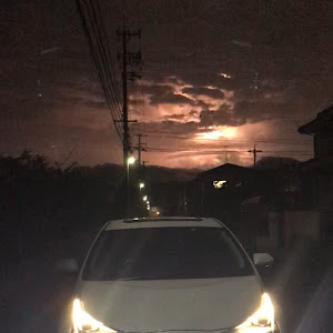 プリウス ZVW50