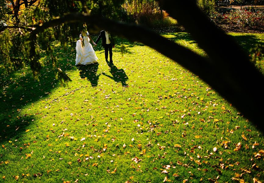 Fotografo di matrimoni Vladimir Propp (vladimirpropp). Foto del 23 febbraio 2014