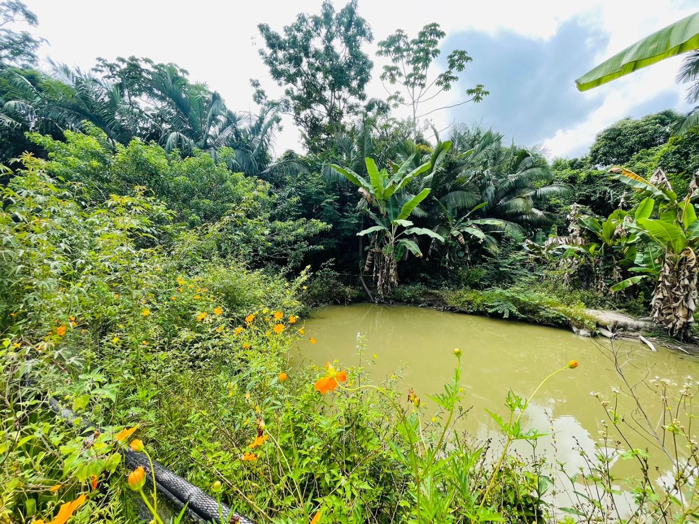 Terrenos à venda Nova Governador Celso Ramos