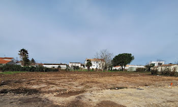 terrain à Saint-Palais-sur-Mer (17)