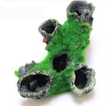 Moss Tree Roots