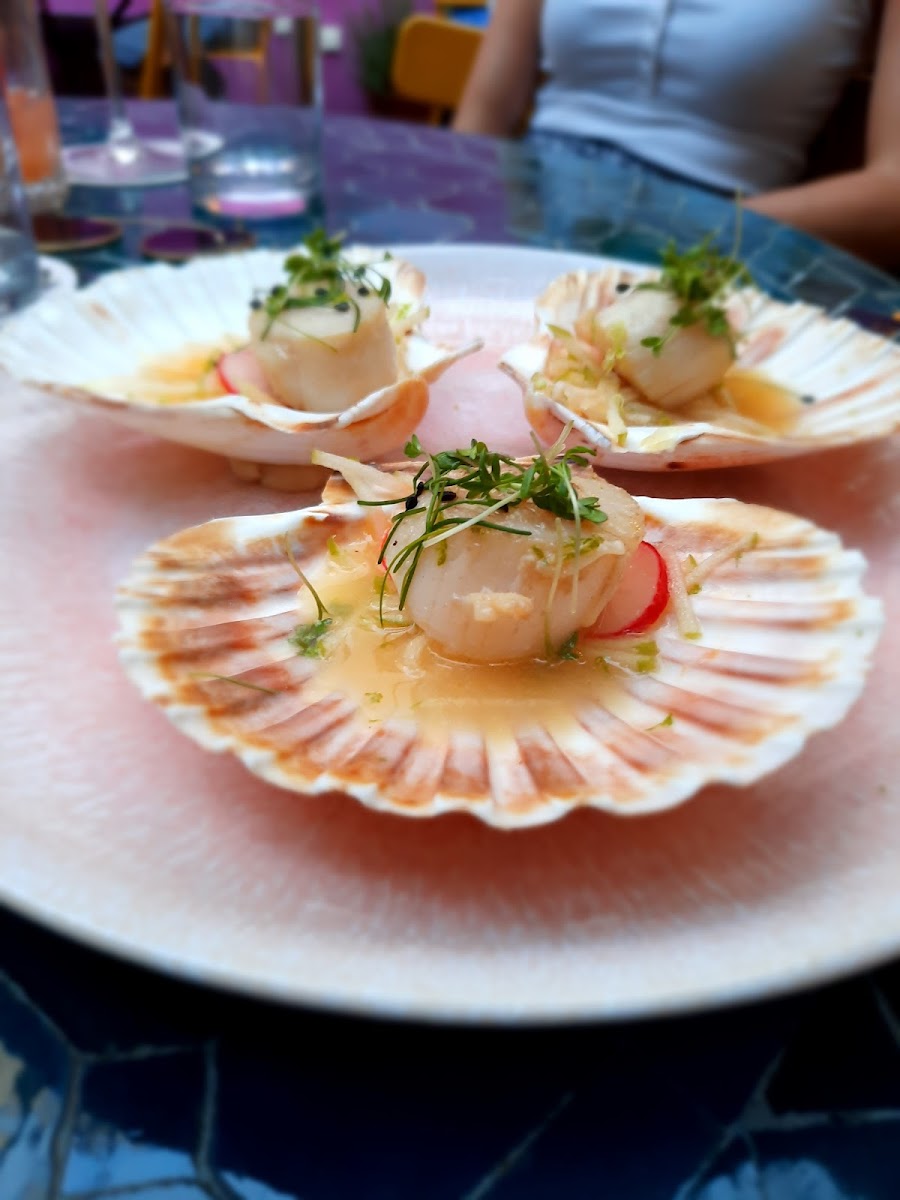 Sexy scallops