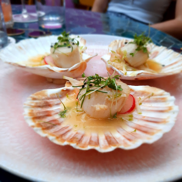 Sexy scallops