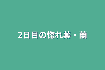 2日目の惚れ薬・蘭