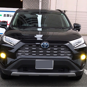 RAV4 AXAH54
