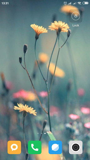 Dandelion Wallpaper HD