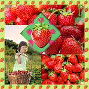 Strawberry Photo Collage  Icon