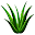 Medicinal plants🌱🌾🌽Home remedies Download on Windows