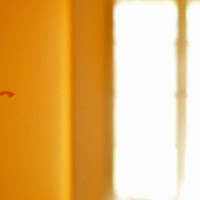 Lulù di stoffa sul muro d'arancio di 