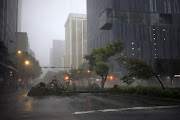 Trees sway in the wind from Hurricane Ida in downtown New Orleans, Louisiana, US, on Sunday, August 29, 2021.