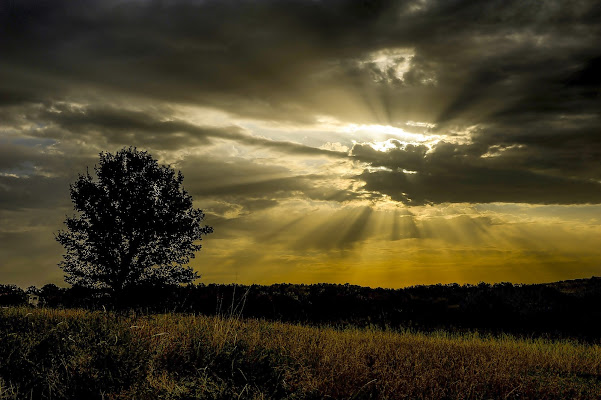 luce tra le nuvole di artu