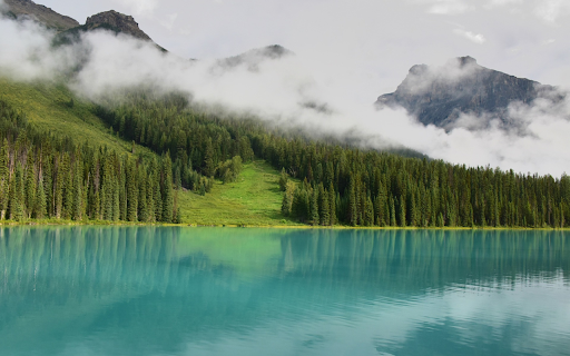 Lake next to the forest