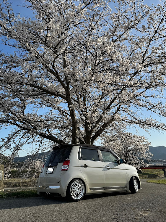 N-ONEの車検から帰還・サクラと愛車・workシーカー・モモステアリング60周年・車高調整に関するカスタム事例の投稿画像5枚目