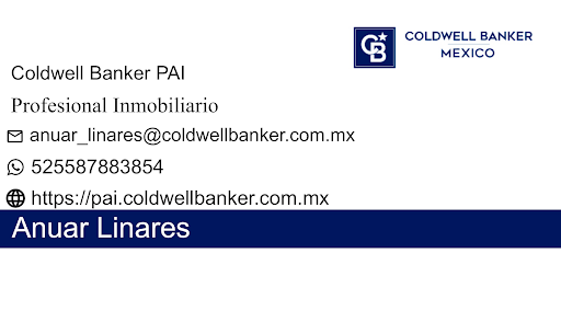 Business Card agent