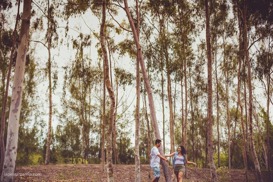 Wedding photographer Narlla Oliveira (narllaoliveira). Photo of 26 May 2016