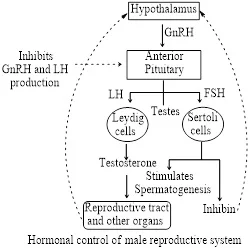 Solution Image