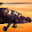 Gunship Helicopter Pilot