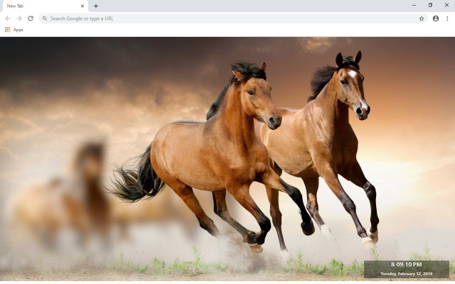 Horse New Tab & Wallpapers Collection