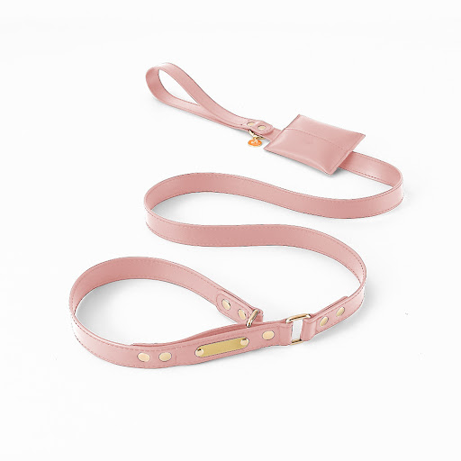 Title 3, One-piece Leather Explosion-proof Leash For Pet...