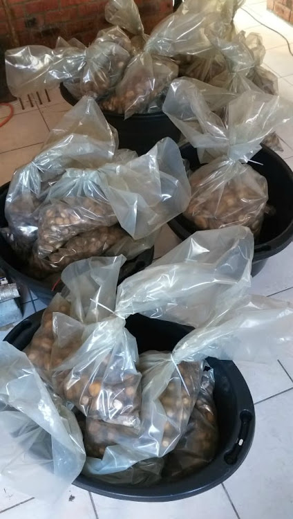 Police seized R1.2m worth of abalone in Table View, Cape Town.