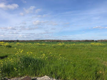 terrain à Bourgneuf (17)