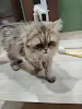 ユーザー