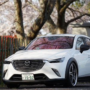 CX-3 DK5FW