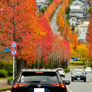 RAV4 MXAA54