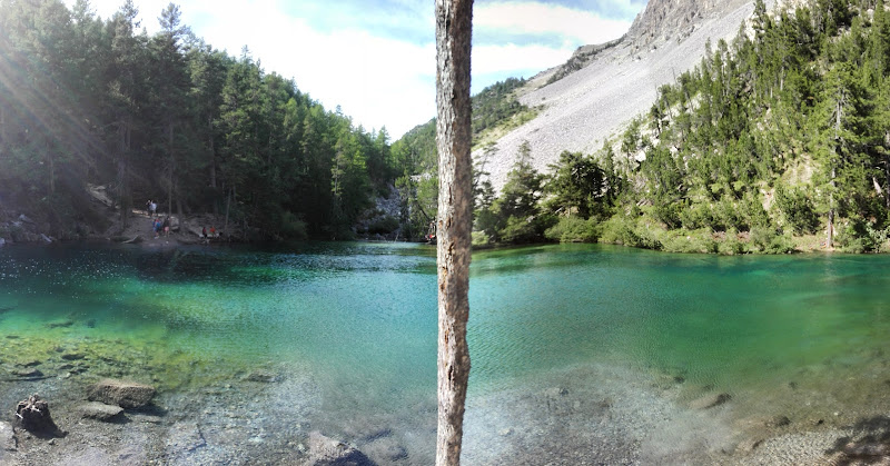 L'albero che crea la simmetria di giulia_juls