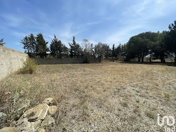 terrain à Narbonne (11)