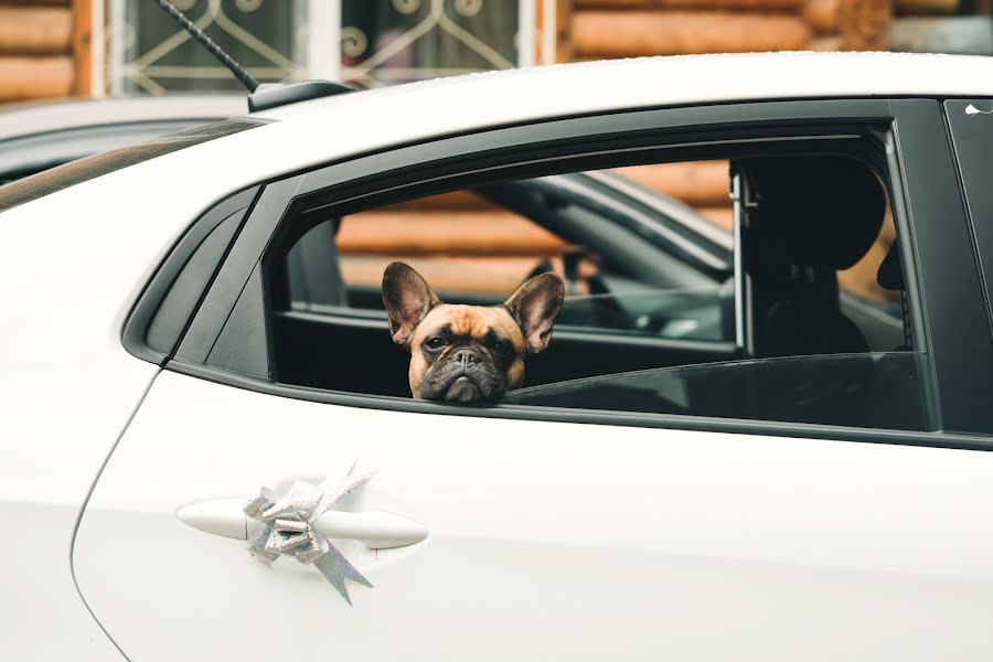 Fotógrafo de casamento Anastasiya Lebedikova (lebedik). Foto de 31 de julho 2019