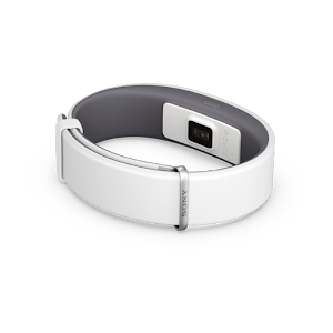 SmartBand 2 SWR12