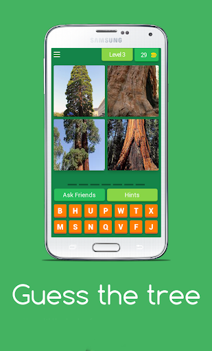 Screenshot Guess the tree - Tree species 