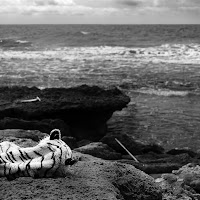 Storie di mare  di 