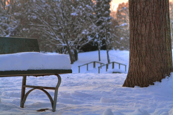 Inverno di Fotocop