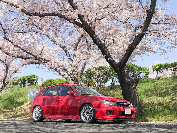 インプレッサ ハッチバックのGHインプレッサ・桜とコラボ🌸・桜に関するカスタム事例の投稿画像1枚目